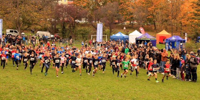 Classements et photos – Cross Beaumont 11/11/2024