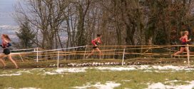 Cross de Chanat-la-Mouteyre – 14 décembre 2024