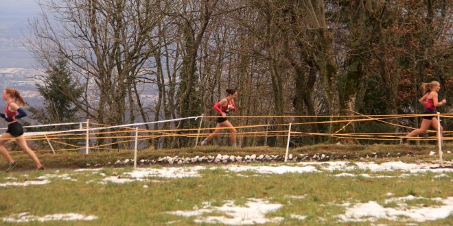 Cross de Chanat-la-Mouteyre – 14 décembre 2024